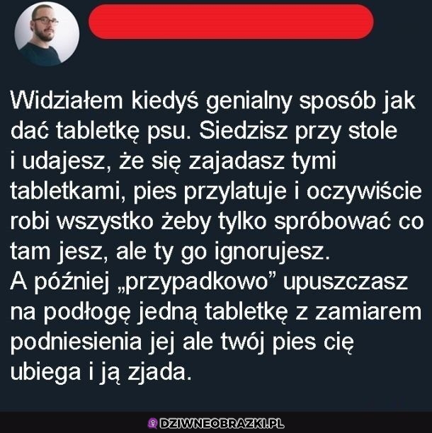 To faktycznie genialny pomysł
