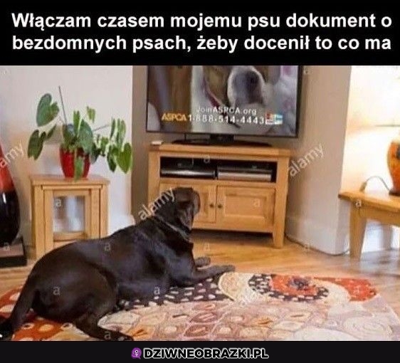 Lekcja wychowawcza