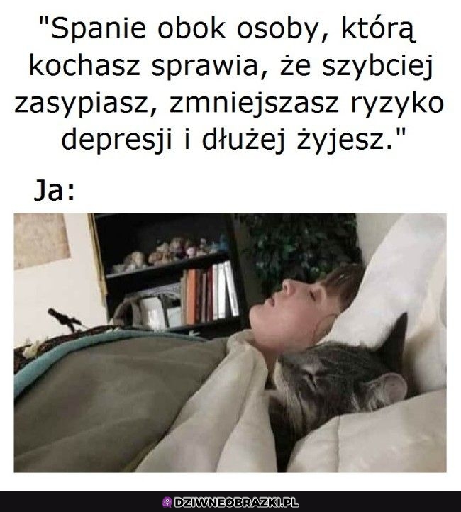 No to śpimy