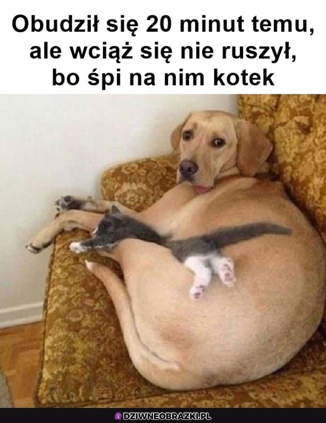 Jak słodko