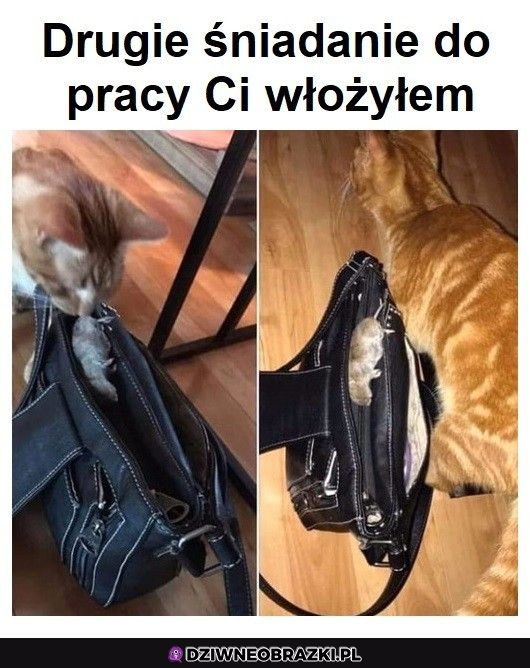 Trzymaj człowieku
