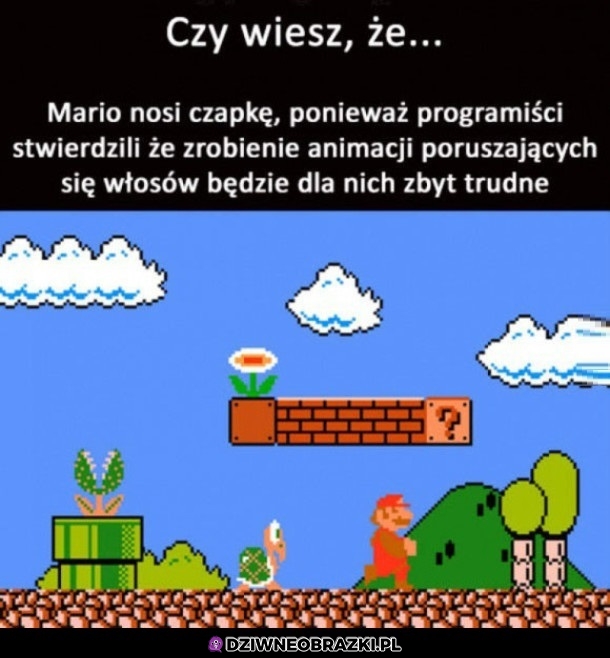 Ciekawostka