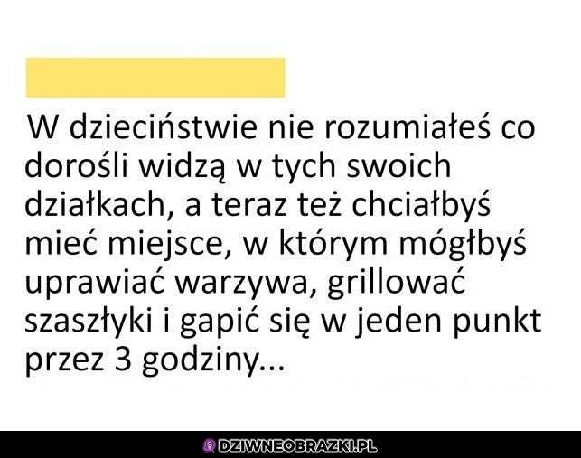 To Nie Jest Takie Złe Dziwne Obrazki 8337