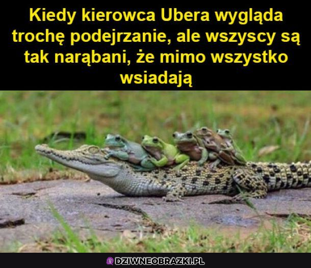 Najebane towarzystwo