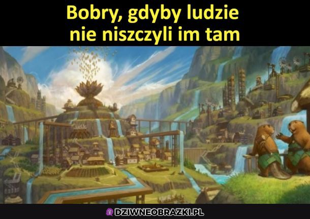 Tak by było