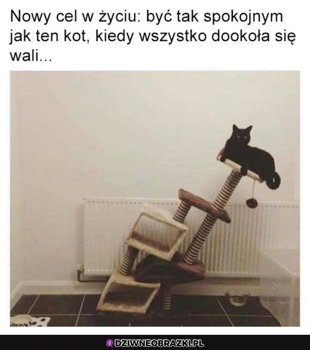 Nowy cel w życiu