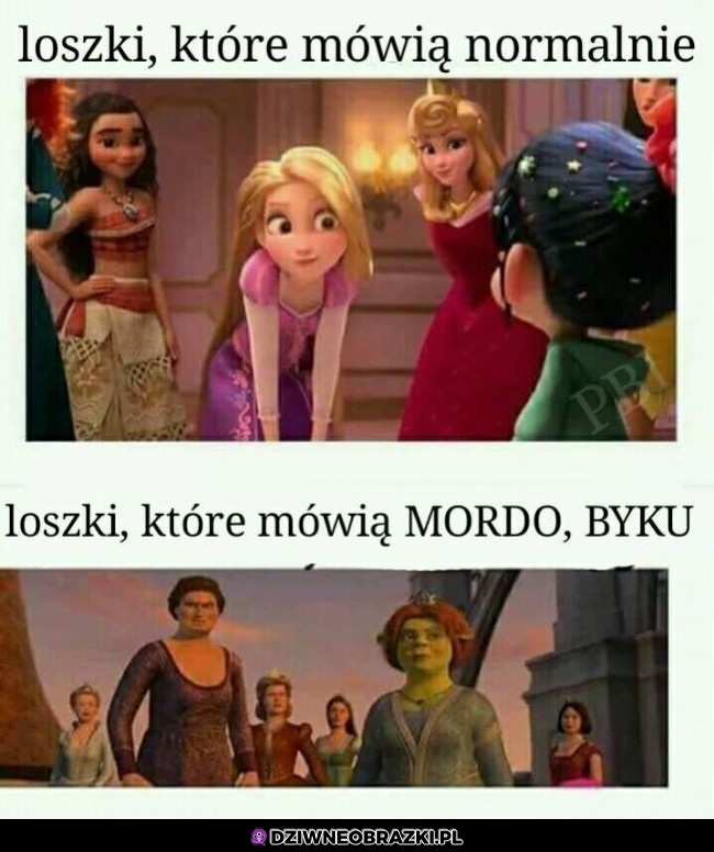 Loszki