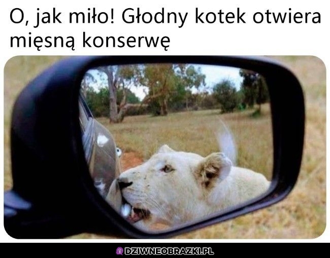 Pora na przekąskę