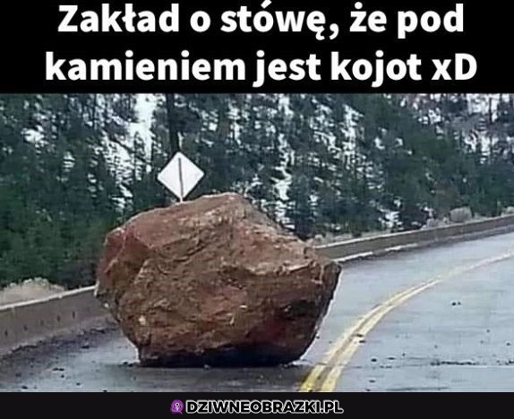 Musi tam być