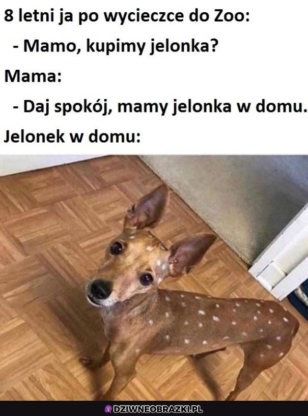 Też słodki