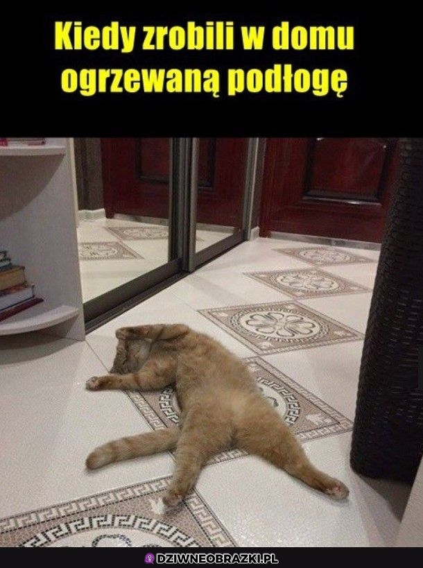Ogrzewana podłoga