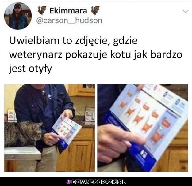 To właśnie ty
