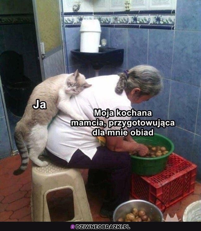 Najlepiej