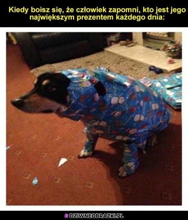 Nie zapomni