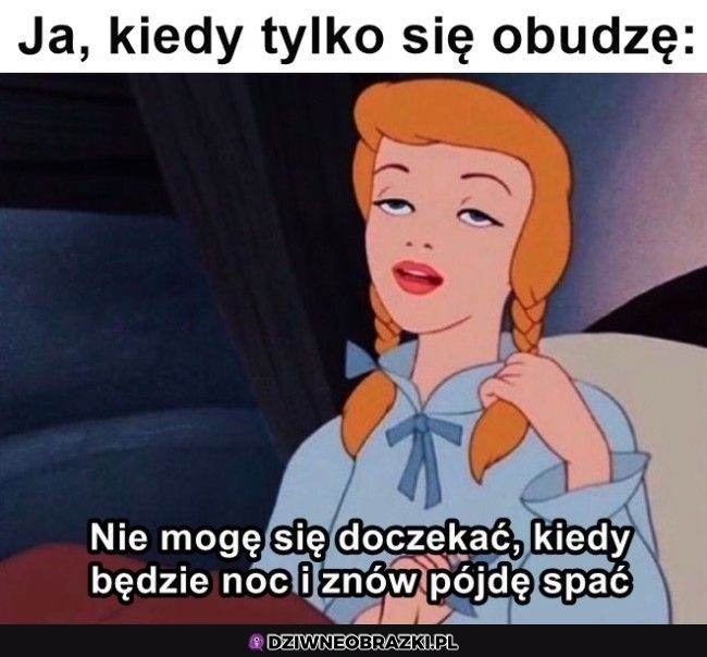 To właśnie ja