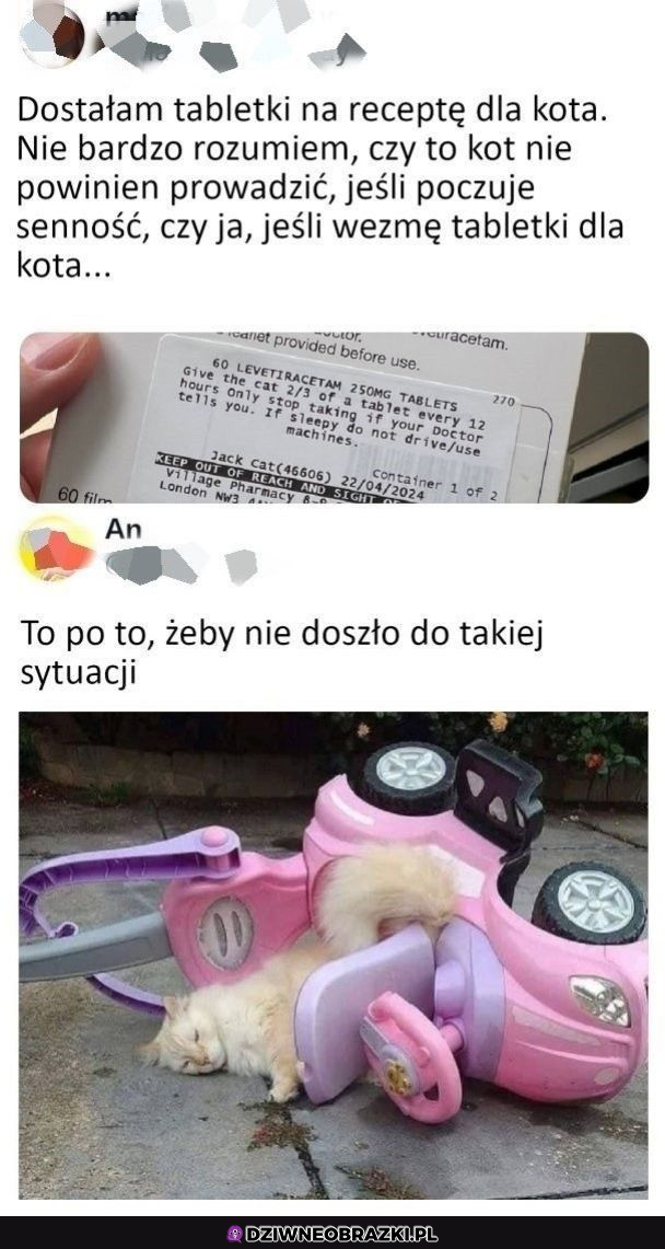 Kiedy Twój kot ma przepisane tabletki