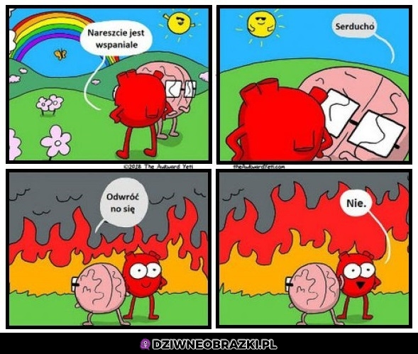 Lepiej nie