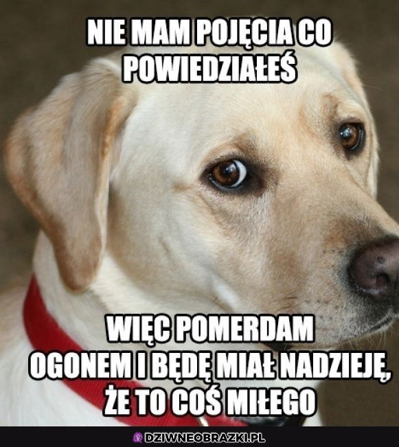 Mam nadzieję, że to było miłe
