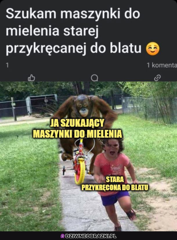 Więc na co Ci ta maszynka?