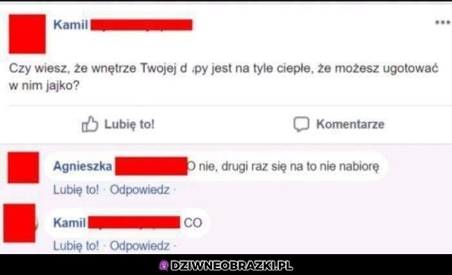 Ciekawostka