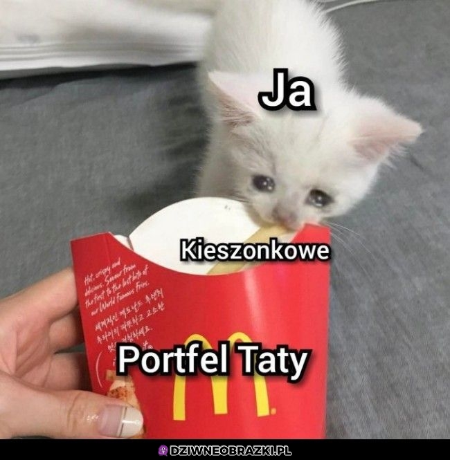 Kiedy bierzesz kieszonkowe