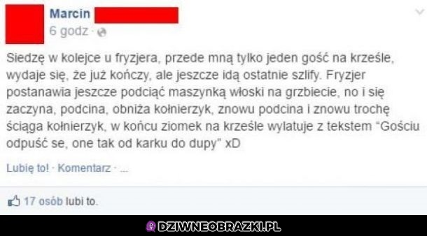 U fryzjera