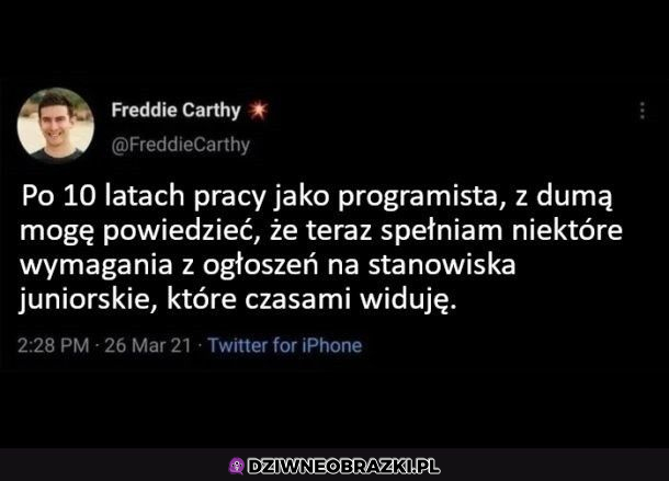 Powoli się zdobywa doświadczenie