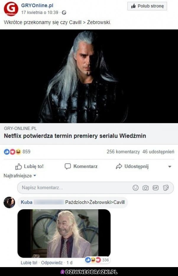 Wiedźmin Netflixa