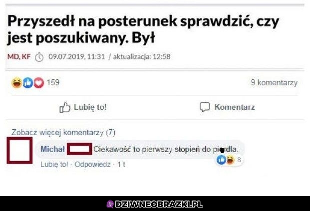 Ciekawski