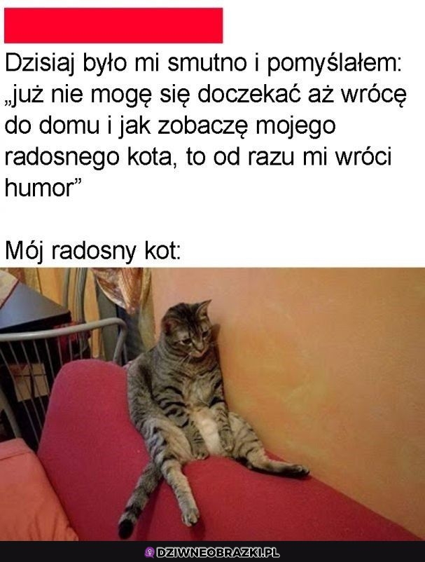 Taki dzień po prostu