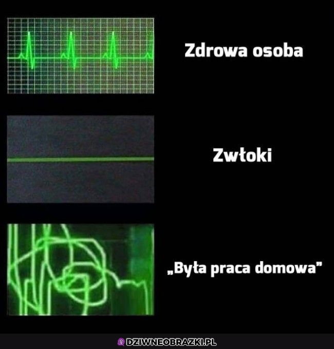 Zawsze