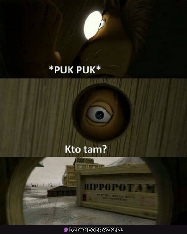 Puk puk