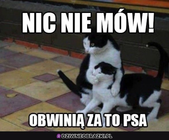 Tylko nic nie mów!