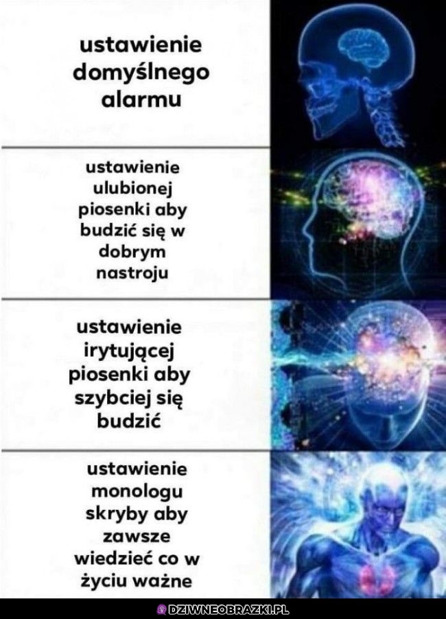 Alarmy