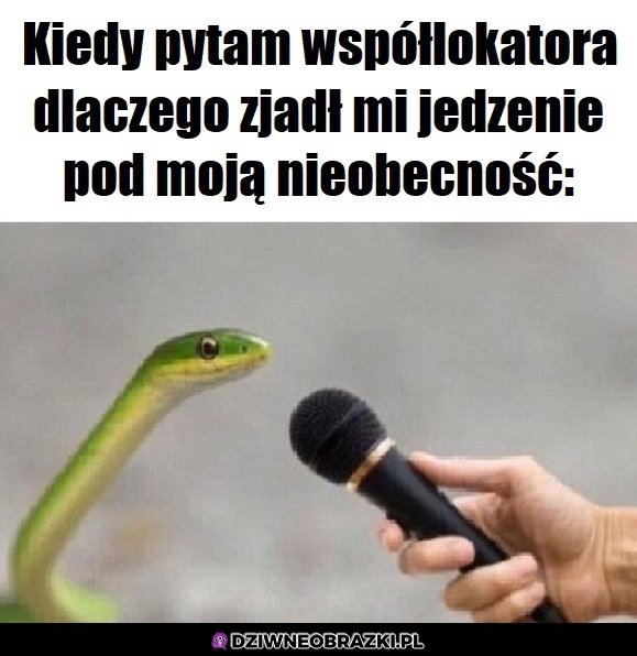 No jakoś tak wyszło