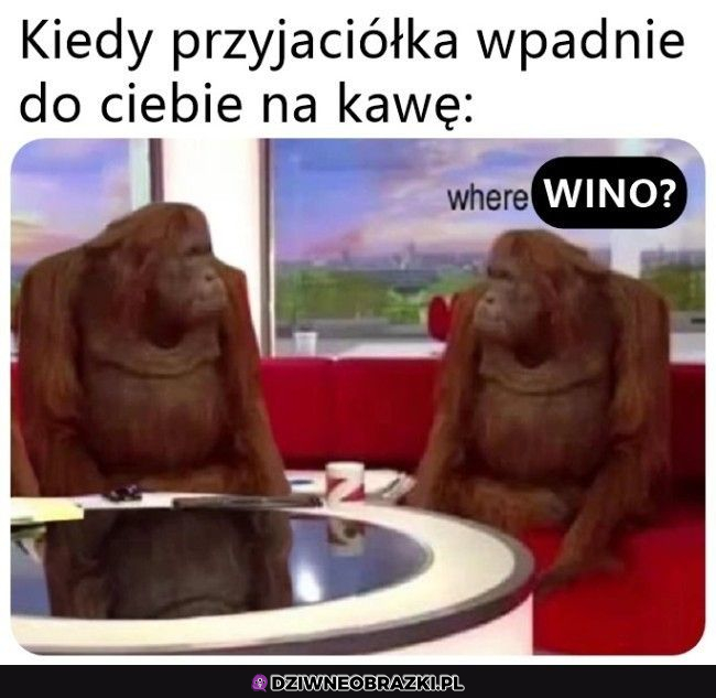 Kawa vs Wino