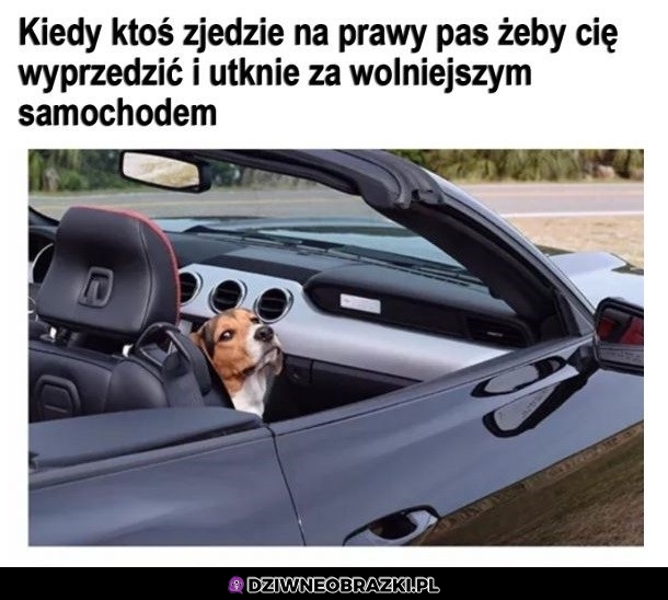 Ten moment