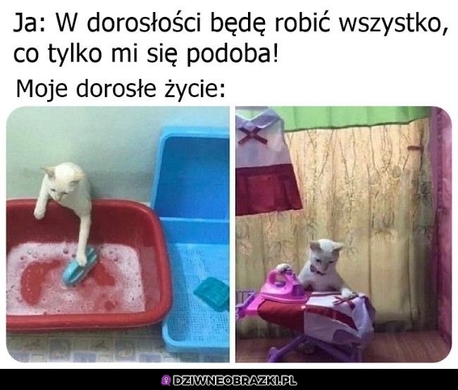 Dorosłość taka jest