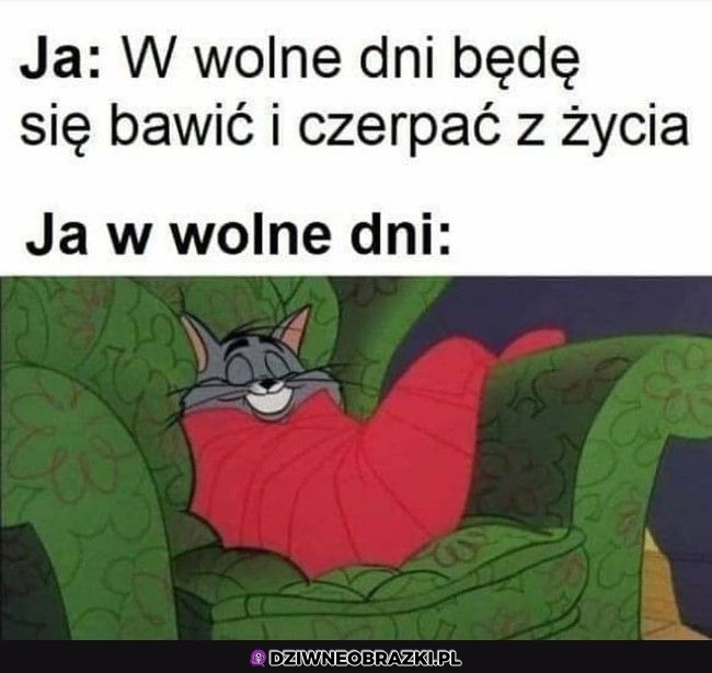 To ja kiedy mam wolne