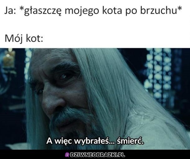 Wybór