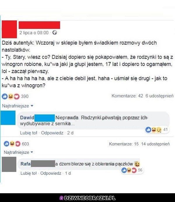 Rodzynki