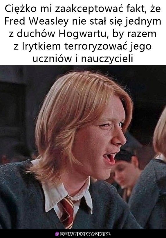 To byłoby spoko