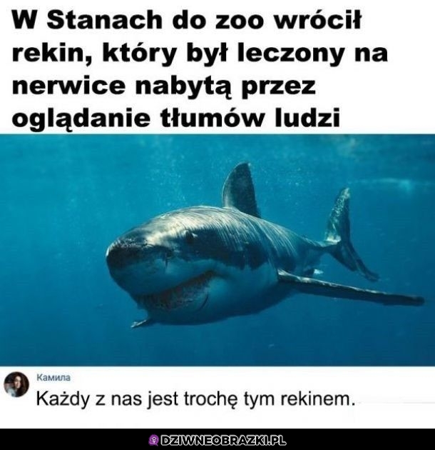 Wszyscy nim jesteśmy
