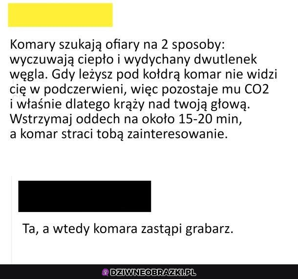 jak pozbyć się komara?