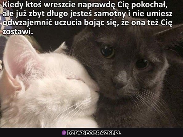 Ten moment