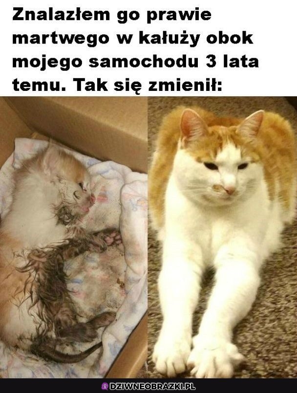 Najlepsza zmiana