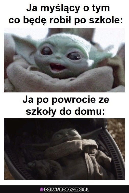 Kiedy wrócę do domu
