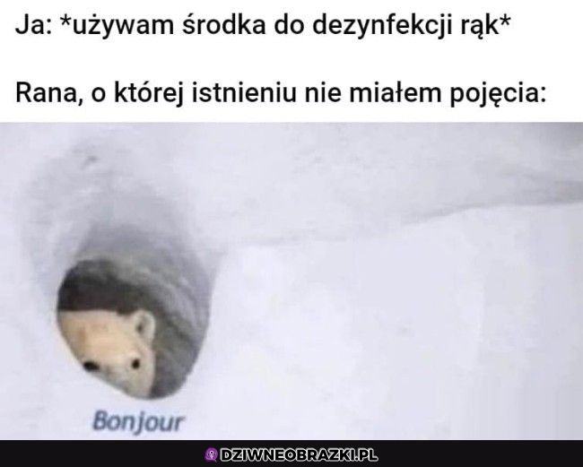 Ten moment