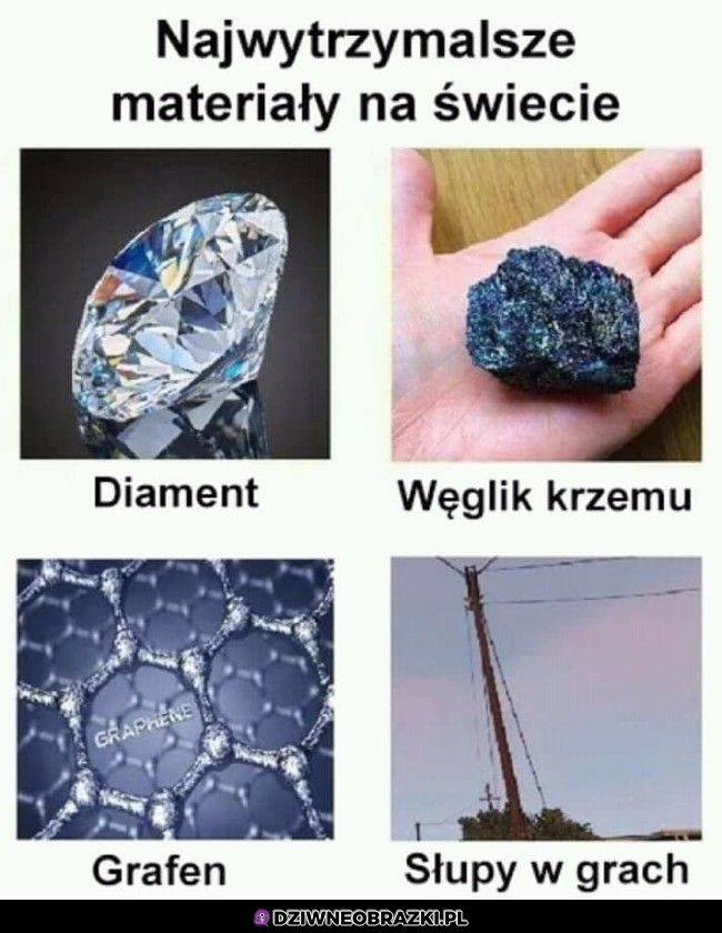 Najwytrzymalsze