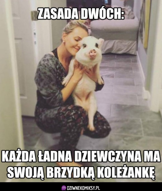 Zasada dwóch